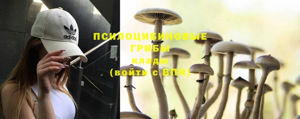 круглые Армянск